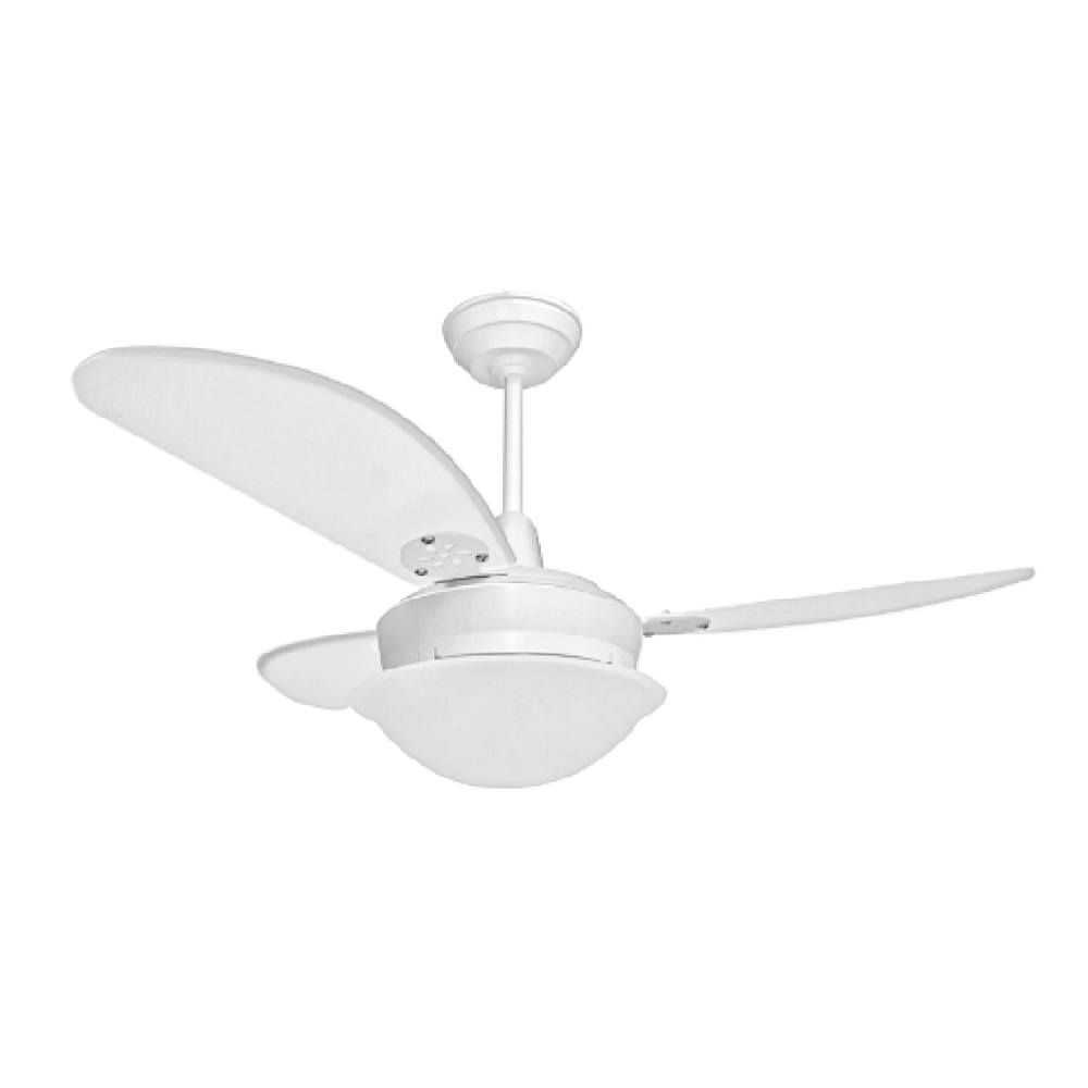 image_e26082b1-cd60-4cbd-8f85-9c45dc349264