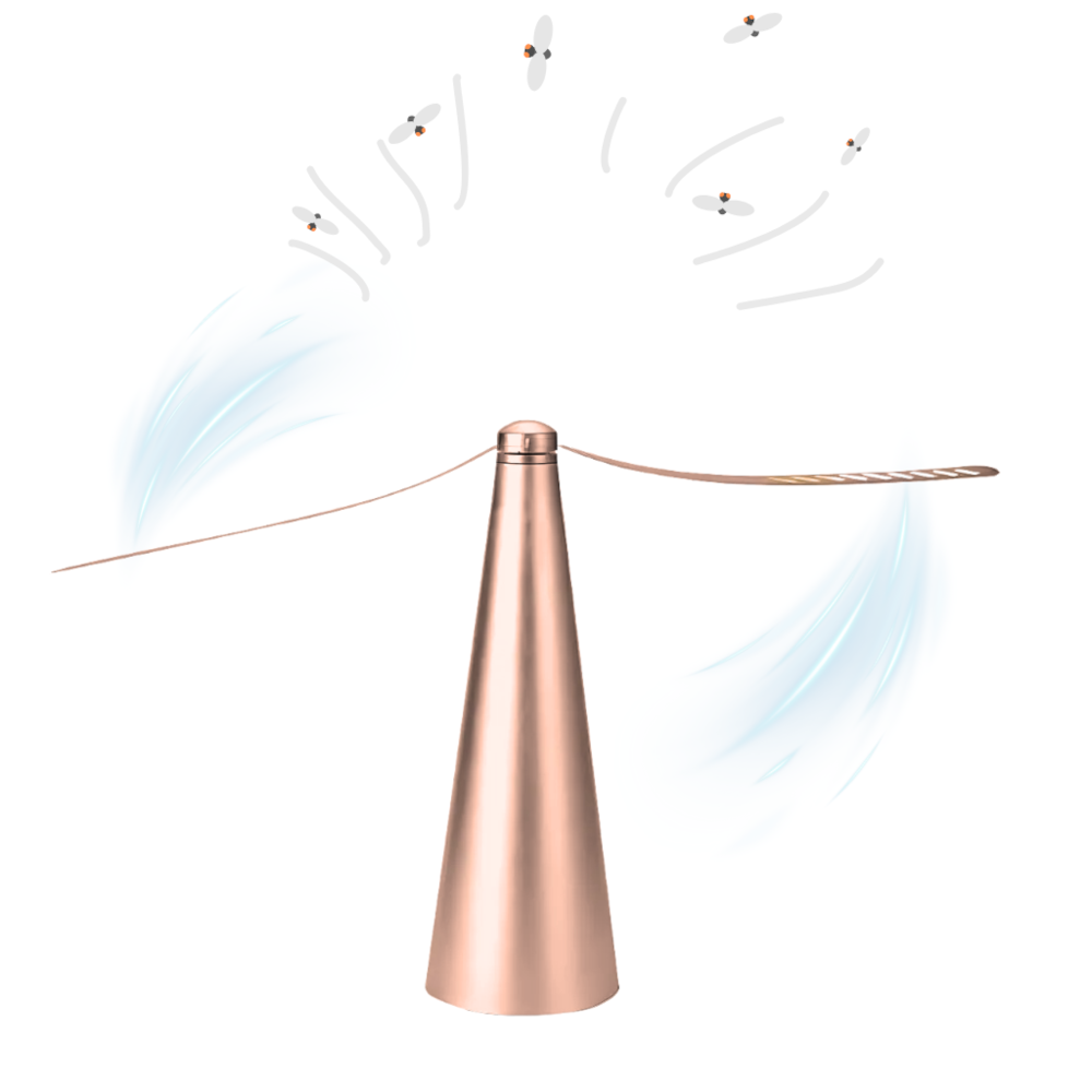 image_dd74936d-252c-474e-92ca-b3c75646251a